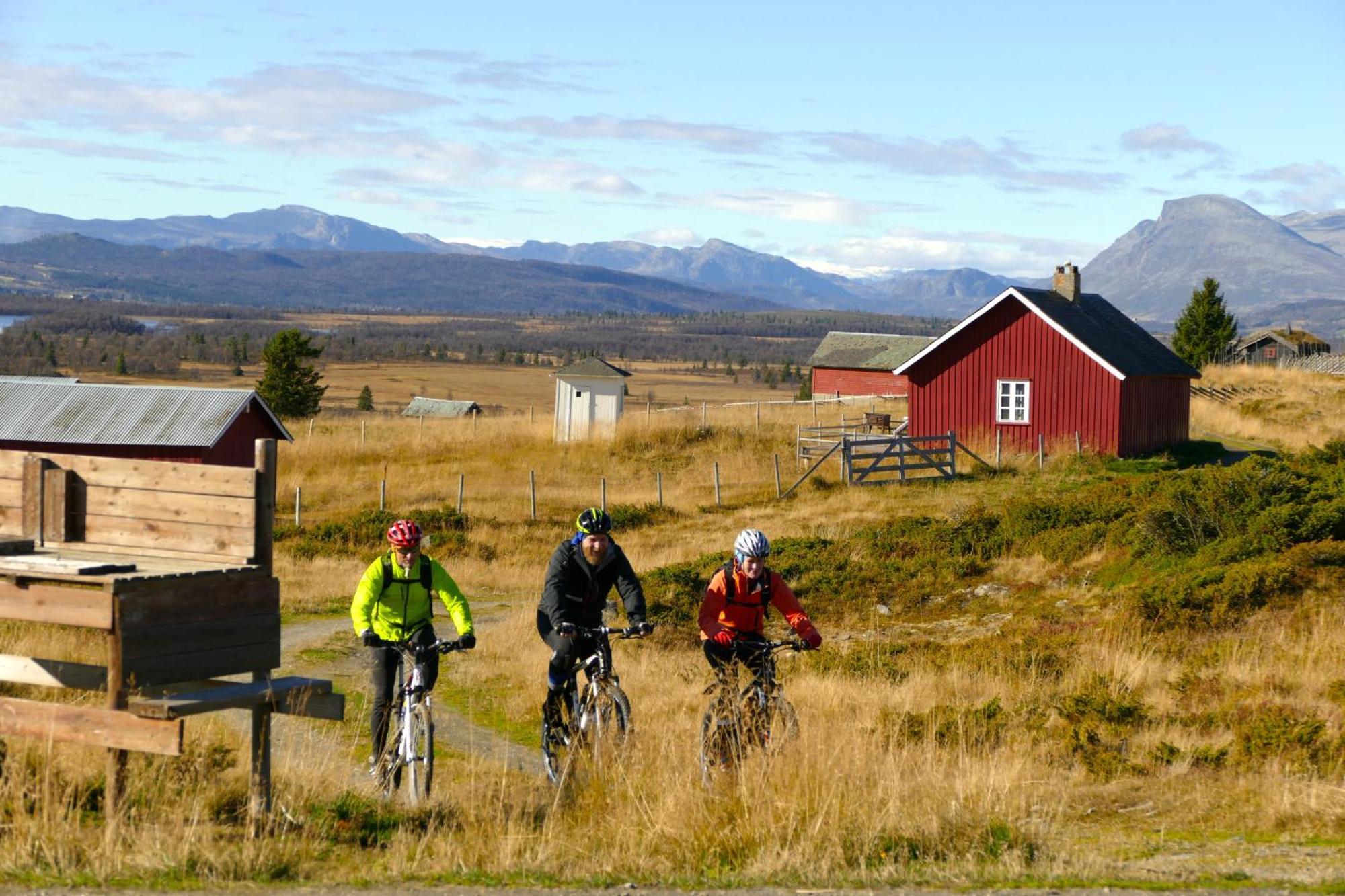 Storefjell Resort Gol Extérieur photo